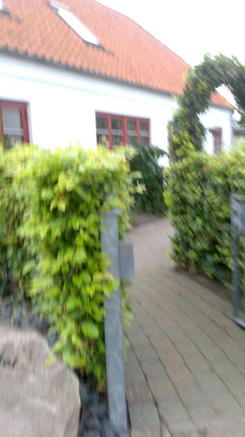 Gaeste Anneks Hos Hanne イェリング エクステリア 写真